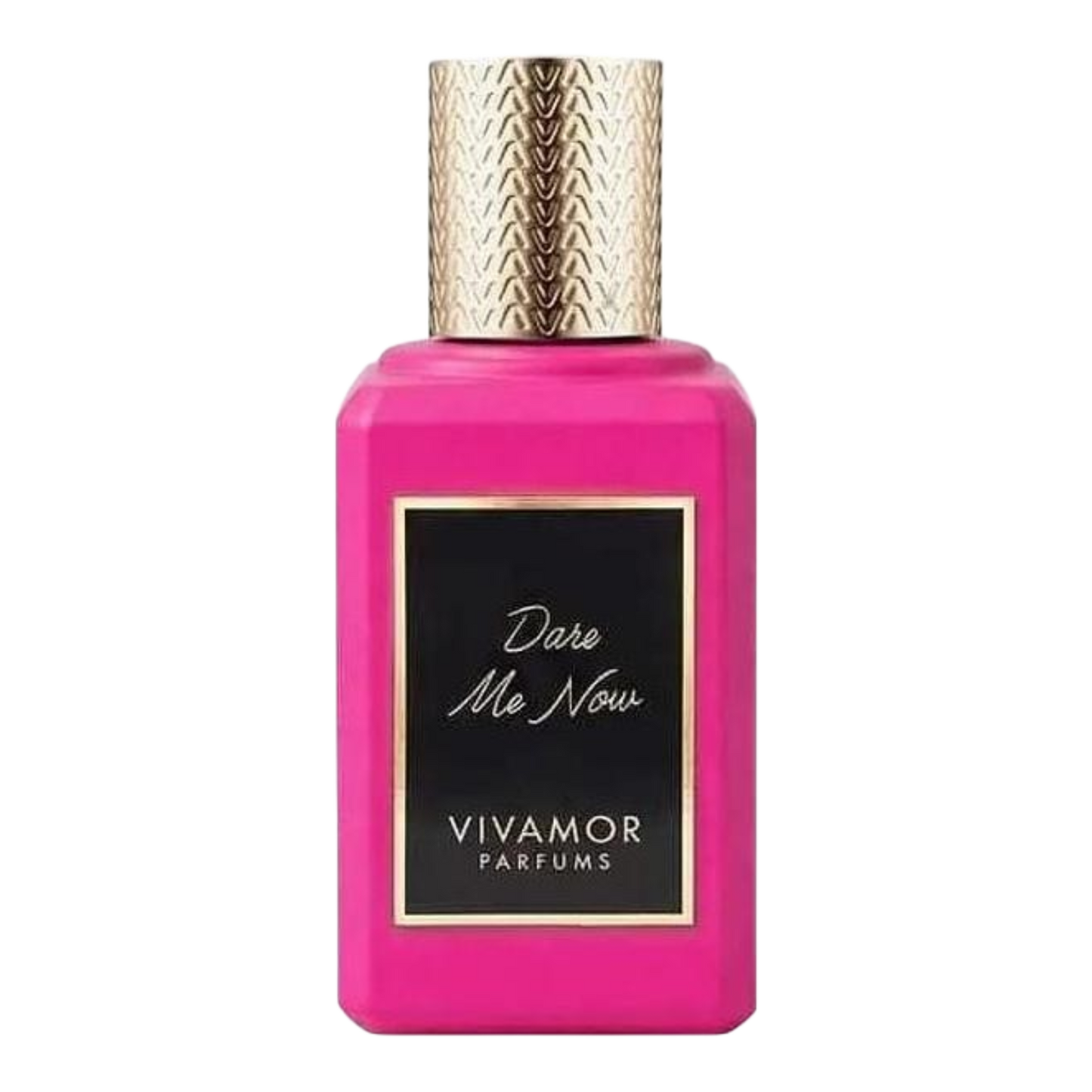 Vivamor Dare Me Now