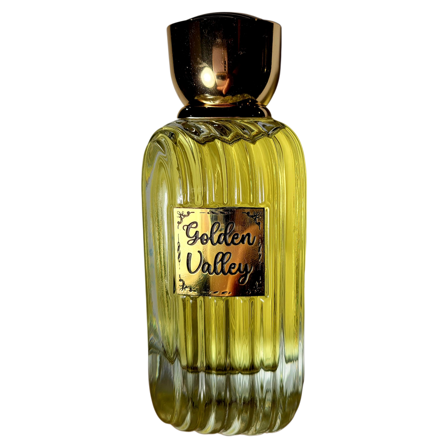 Yasmeen Golden Valley