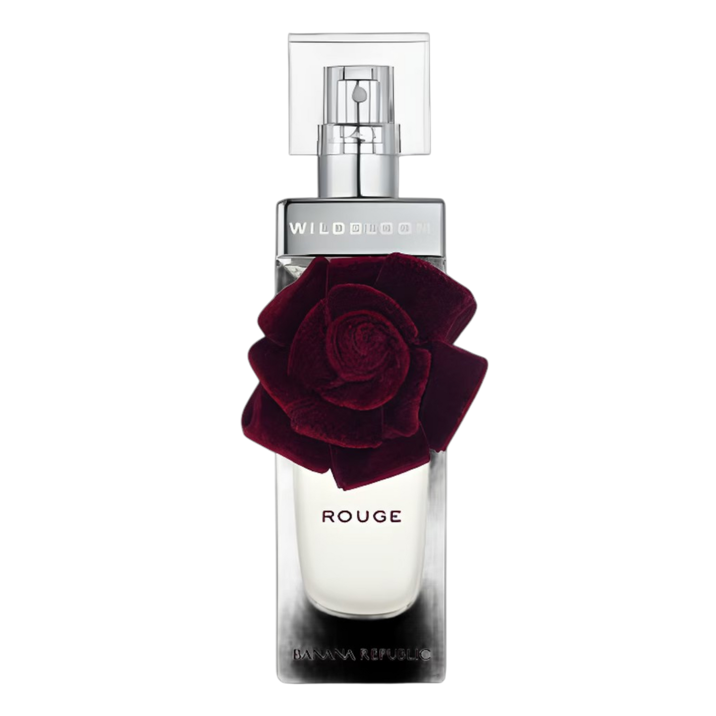 Banana Republic Wildbloom Rouge