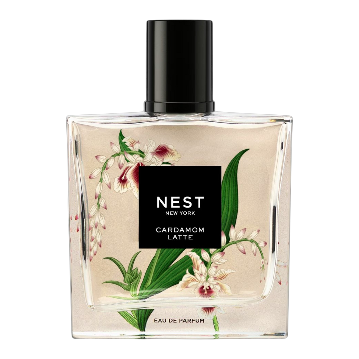 Nest Cardamom Latte