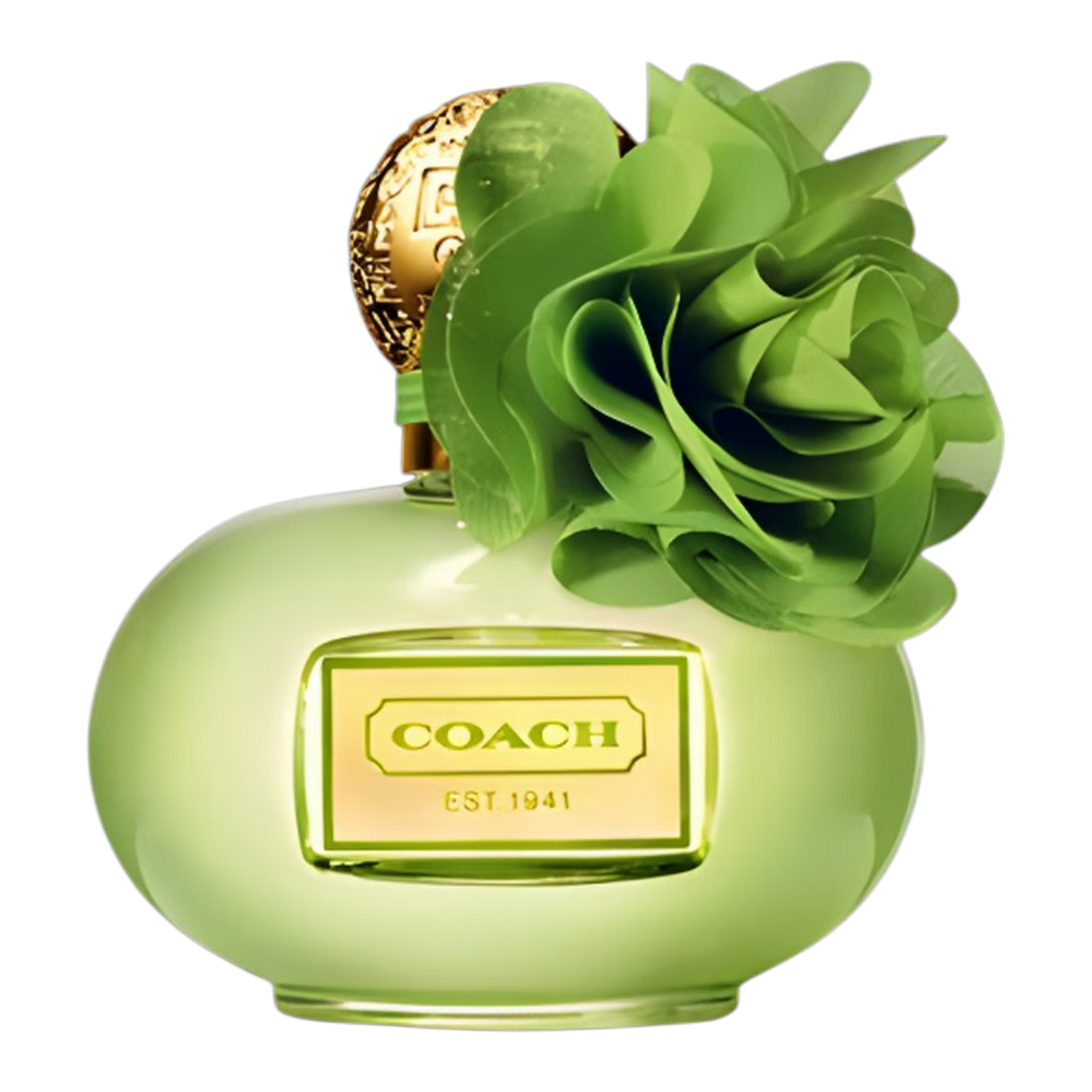 Coach Poppy Citrine Blossom