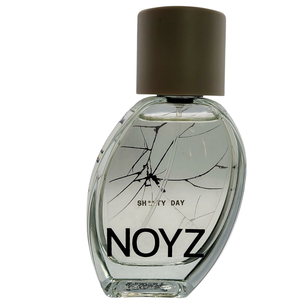 NOYZ Shitty Day